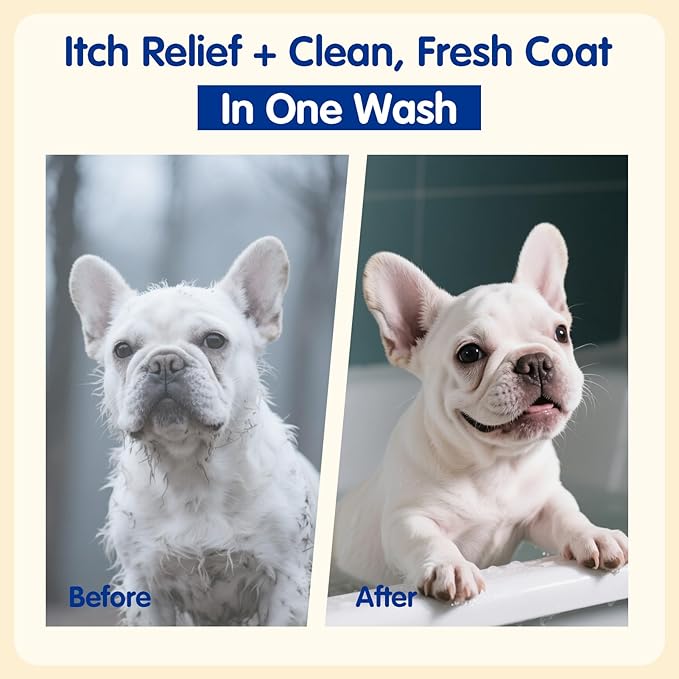 Unipaws Probiotic Dog Shampoo for Short-Haired Coats โ Itch Relief, Deodorizing & Hydrating for Healthy, Fresh Skin with Calendula & Oatmeal โ EWG Green & White Tea Scent, Made in Korea, 16.9 Fl Oz