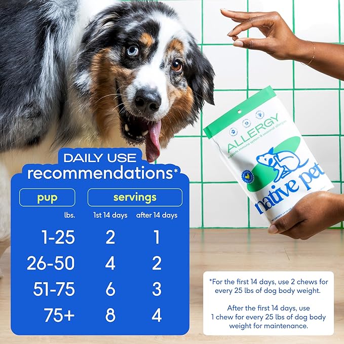 Native Pet Dog Allergy Chews - Dog Allergy Relief with Probiotics and Colostrum for Itchy Skin Relief to Support Seasonal Allergy and Healthy Immune System - All Natural Anti-Histamine - 60 Chews