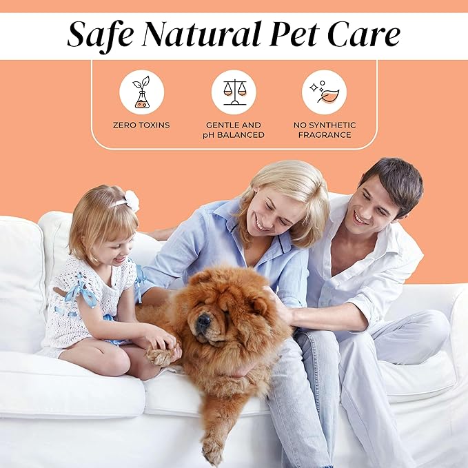 Foam Dog Paw Cleaner - 1.7 Fl Oz of Alcohol Free Foaming Paw Sanitizer Spritz - Made with Coconut, Aloe, Copaiba Oil, and Lemongrass Oil to Nourish and Clean Paws - Made in The USA