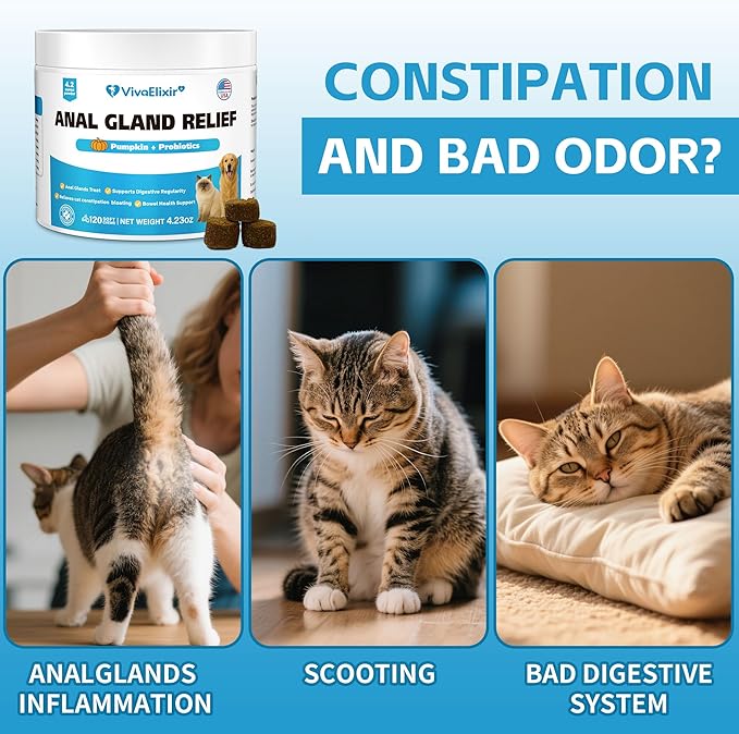 Cat Constipation Relief - Chewable Tablets - with Pumpkin, Psyllium Husk, Prebiotics & Probiotics - Supports Gut Hydration, Bowel Regularity & Immune Health - 120 Tablets