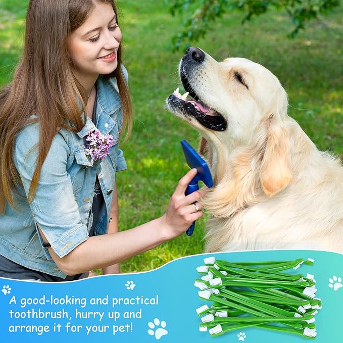 Dog Tooth Brush Pet Toothbrush Soft Grooming Dogs Toothbrush Dog Double Sided Puppy Long Handle Brush for Large and Small Teeth Cleaning Dental Oral Care(70 Count,Green)