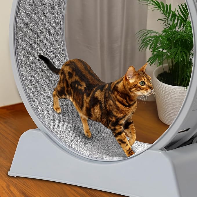 VINGLI Cat Wheel, Cat Treadmill with Carpeted Runway, Cats Running Wheel for Daily Exercise and Weight Loss, Gray