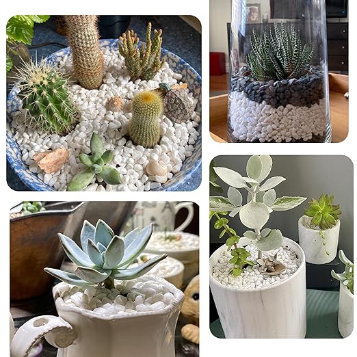18lb 1/4" Small White Rocks for Plants,Potting,Succulents Aquarium Fish Tank Garden Vases Decorative Pebbles Gravel Rocks Stones