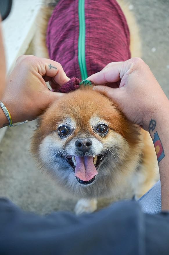 Gooby - Zip Up Fleece Vest, Fleece Jacket Sweater with Zipper Closure and Leash Ring, Fuchsia Wash, Medium