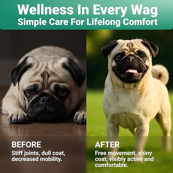 Daily Collagen for Dogs - Boosts Muscle Health & Overall Stamina - Premium All Natural Ingredients Dog Collagen Powder - Supports Mobility and Flexibility, Easy to Mix Powder, Made in USA
