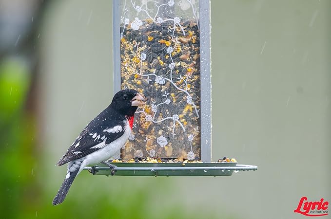Lyric Supreme Wild Bird Seed - Wild Bird Food Mix with Nuts & Sunflower Seeds - Attracts Many Beautiful Songbirds - 40 lb bag