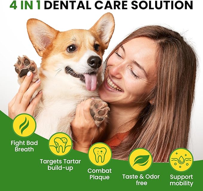 Dog Breath Freshener – Enzymatic Dog Dental Water Additive for Teeth Claning – Freshens Breath & Reduces Tartar – Easy Dog Mouthwash Cleaner for Teeth & Gums – No Brushing Needed, Uncented, 16oz