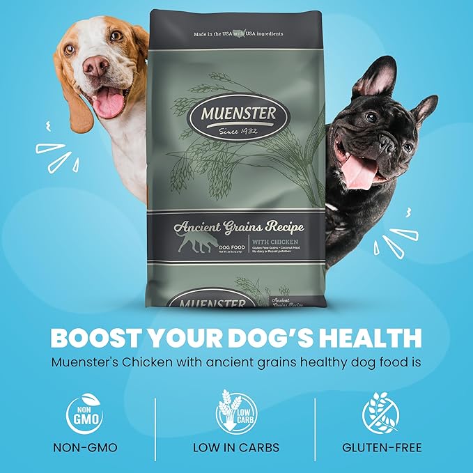 Muenster Ancient Grains Chicken Dry Dog Food, 22lb - Gluten-Free, High Protein, Digestive Support