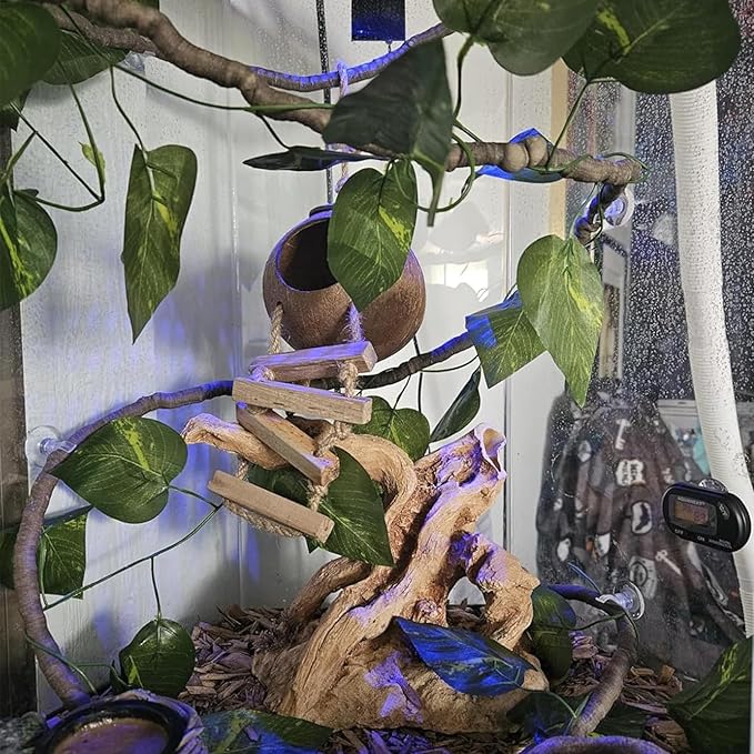 Grested Gecko Coconut Hut with Ladder,Leopard Gecko Coconut Hide Lizards Hanging Coco Den Cave Reptile Hammock Reptiles Tank Accessories Climbing Hanging Plants Jungle Vine Flexible Leaves Decor
