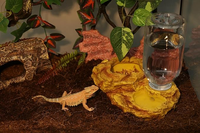AQUA KT Reptile Escape Free Mealworm Feeding Bowl and Water Storage Feeder, 2 in 1 Reptile Feeder Kit for Amphibian Lizard Bearded Dragon Snake Feeding