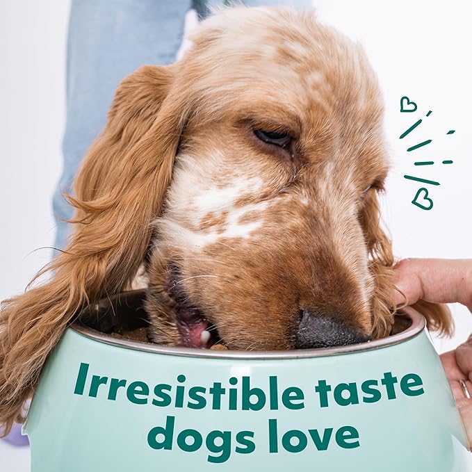 Optimeal Puppy Toy Breed Dog Food - Premium Dry Recipe for Small and Toy Breed Puppies - Skin and Digestive Support (3.3 lb, Lamb & Rice)