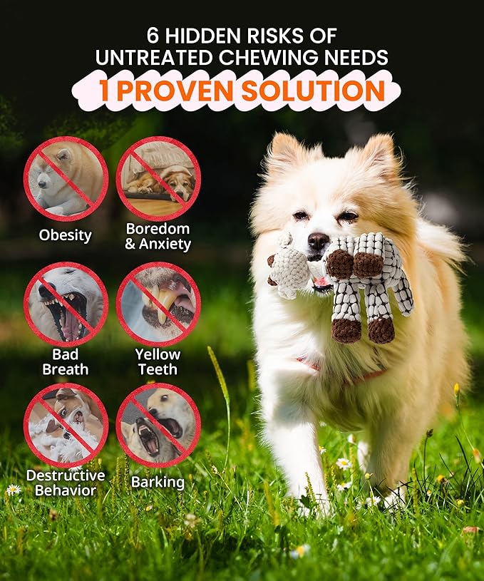 3-Pack Squeaky Plush Dog Toys - Adorable Animal Designs with Soft Cotton Filling, Cute Stuffed Dog Chew Toys for Small, Medium Non-Aggressive Chewing Dogs Chewer (Giraffe&Donkey&Dog)