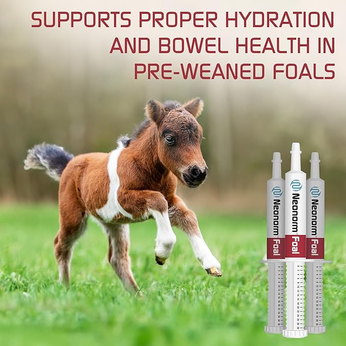 Jaguar Animal Health Foal - Equine Supplement Paste for The Support of Proper Hydration & Bowel Health - Plant-Based Product for Pre-Weaned Foals (30 mL)