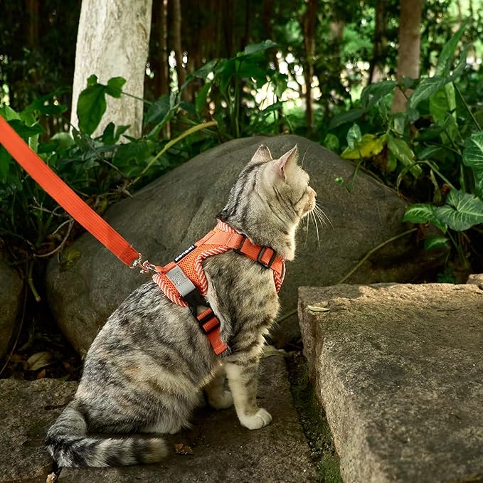 Cat Harness and Leash Escape Proof Extra Large Kitten Harness Maine Coon Cat Vest for Walking Travel, Orange, XL