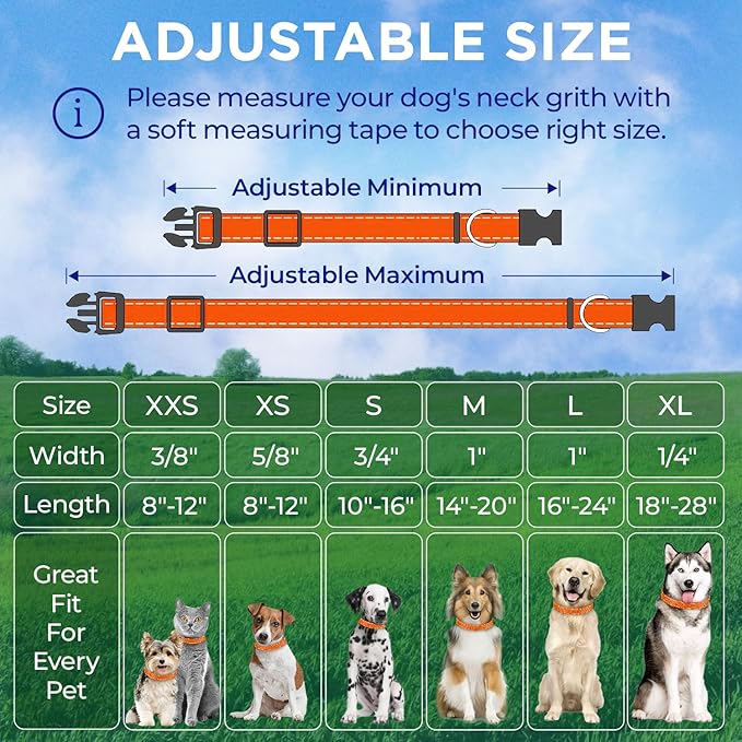TECEUM Reflective Dog Collar β Orange β L β Extra Soft Padding β Basic Nylon Pet Collar β Quick Release Buckle β Fits Small, Medium and Large Dogs, Puppies, Cats β ESA & Service Dog Options