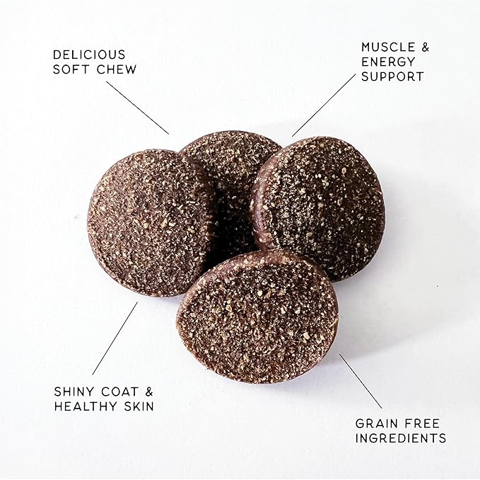 Soft Healthy Dog Treats for Skin & Coat Support Made with Omega 3, Biotin & Flaxseed - Grain Free Salmon - 16 oz