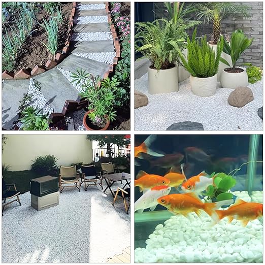 Premium 1-2 Inch White Natural River Rocks – Versatile 22 lbs River Rocks & Pebbles for Outdoor and Indoor Plants, Use for Decorative White Stones for Garden, Aquarium, Vase, Plant, Crafting
