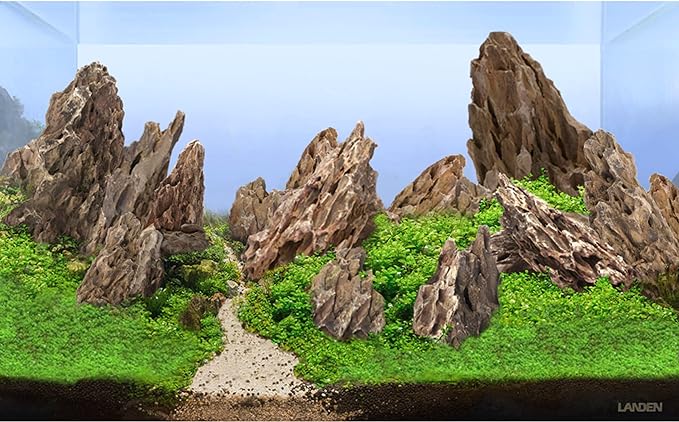 LANDEN Natural Dragon Stones (16lbs, 2~8 inches,7-8pcs) for Aquascaping Terrariums, Paludariums,Vivariums, Reptile and Amphibian Enclosures