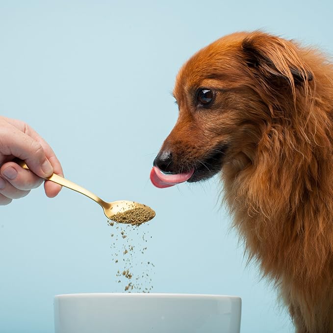 The Missing Link Pet Kelp Canine Skin & Coat 8oz Superfood Powdered Supplement, Organic & Limited Ingredient Formula for Dogs