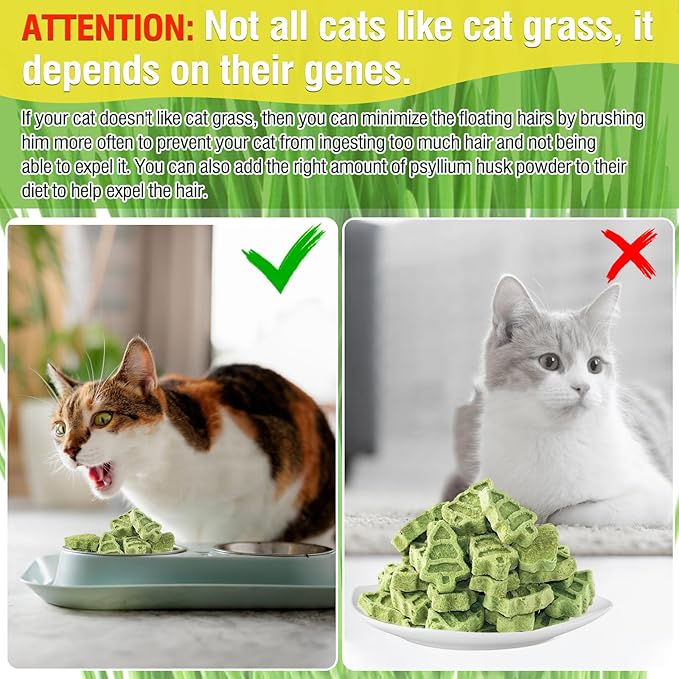 Cat Grass Teething Sticks, 100g/3.52oz Edible Freezed Drying Cat Grass Treats, Cats Snacks for Hairball Removal and Dental Care