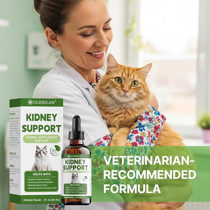 Cat Kidney Support – Kidney Support Supplement for Cats Feline Health, Fluid Balance & Appetite, Veterinarian-Formulated Herbal Supplement 2 fl oz–for Normal Kidney Cleanse and Essential Kidney Care