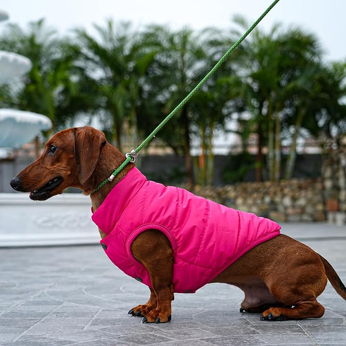 2 Layers Fleece Lined Warm Dog Jacket for Winter Cold Weather,Soft Windproof Large Dog Coat,Pink XXL