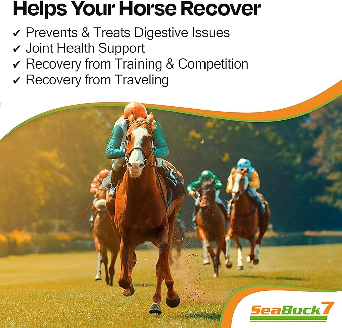 SeaBuck 7 Equine Supplement for Horses with Sea Buckthorn to Improve Horse Health (3-6 Week Supply, 1 Gallon) – Supports Healthy Eating & Digestion, Increased Energy/Focus, & Shiny Coats for Horses