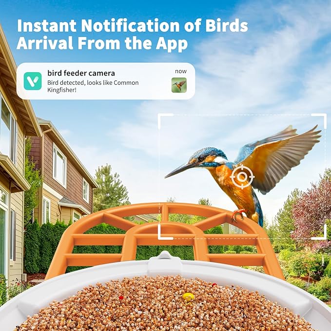 Bird Feeder with Camera with AI Identify Birds Species Solar Panel, Live View, Instant Arrival Alerts