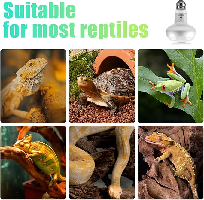 Reptile Heat Lamp 4Pack 100W, Intense Basking Spot Light Bulb with UVA, Simulate Natural Daylight Heat Bulb for Reptile, Turtle, Bearded Dragon, Lizard, Tortoise, Gecko, Snake