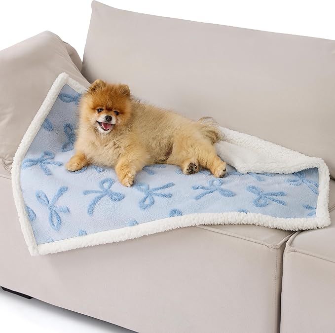 Lesure Waterproof Puppy Blanket for Small Dogs - Washable Double Sided Dog Blankets with Warm Jacquard Shag and Soft Sherpa Fleece, Pet Cat Blanket for Couch Protection, Bow Design,Ice Blue