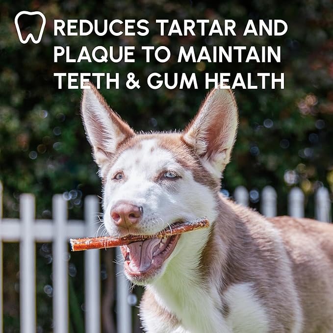 Downtown Pet Supply 6-inch Bully Sticks for Dogs, Pack of 48 - Single Ingredient, Nutrient-Rich and Odor Free Bully Sticks for Dogs - Rawhide Free Dog Chews Long Lasting and Non-Splintering