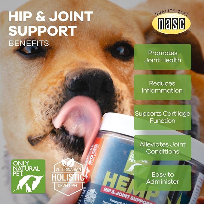 Only Natural Pet Hemp Hip & Joint Support for Dogs - Supplement for Mobility Wellness Pain Relief Healthy Inflammatory & Bone Stiffness - Chews w/Fatty Acid Blend Mussels & Turmeric - 60 Count (H/J)