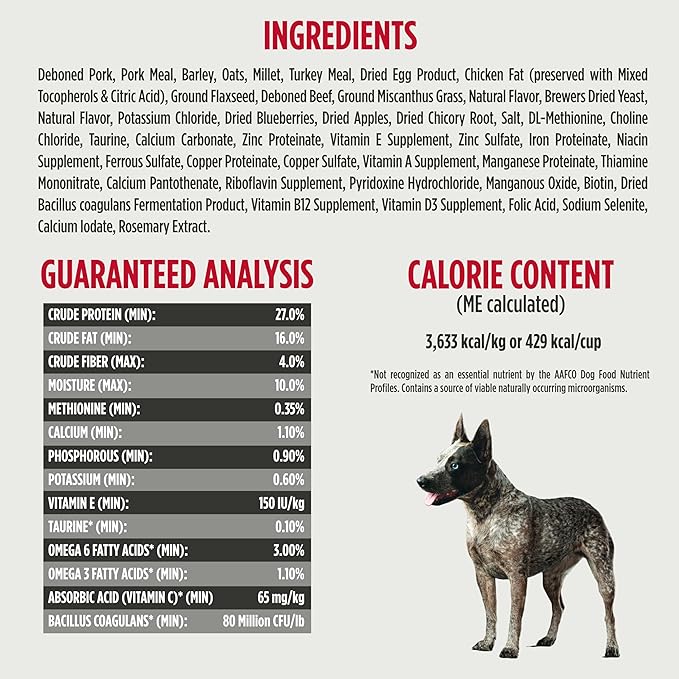 Nulo Frontrunner Ancient Grains High-Protein Dog Food, Pork, Barley, & Beef Recipe- Natural Dry Dog Food with Probiotics, Grain-Inclusive Kibble for Adult Dogs, 5 lb Bag