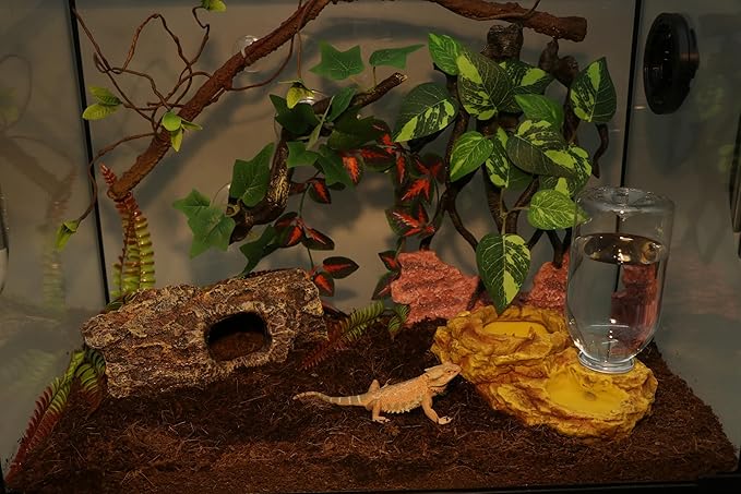 AQUA KT Reptile Escape Free Mealworm Feeding Bowl and Water Storage Feeder, 2 in 1 Reptile Feeder Kit for Amphibian Lizard Bearded Dragon Snake Feeding