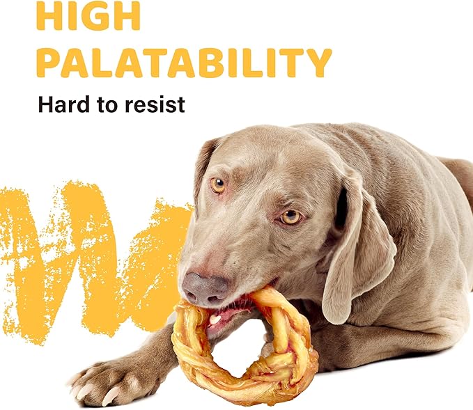 iPaw Turkey Tendons for Dogs, 100% Turkey and US Sourced Raw Material, Hypoallergenic, All Natural Human Grade Puppy Chew, Rawhide Alternative Dog Treats, 10 Units/Bag Ring (Small)