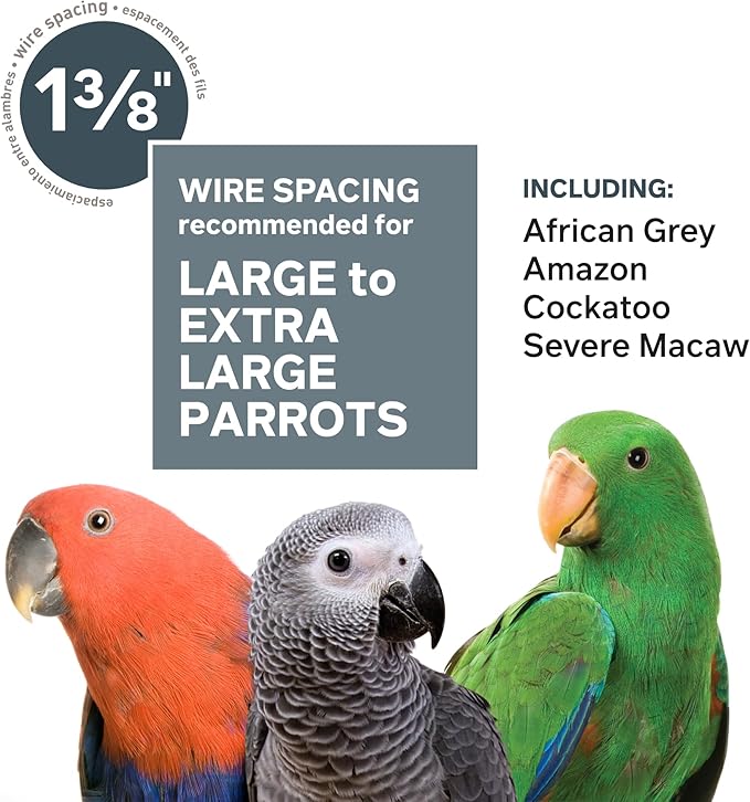 Prevue Pet Products Empire Bird Cage, X-Large, Black Hammertone,46" L x 36" W x 78 1/4" H