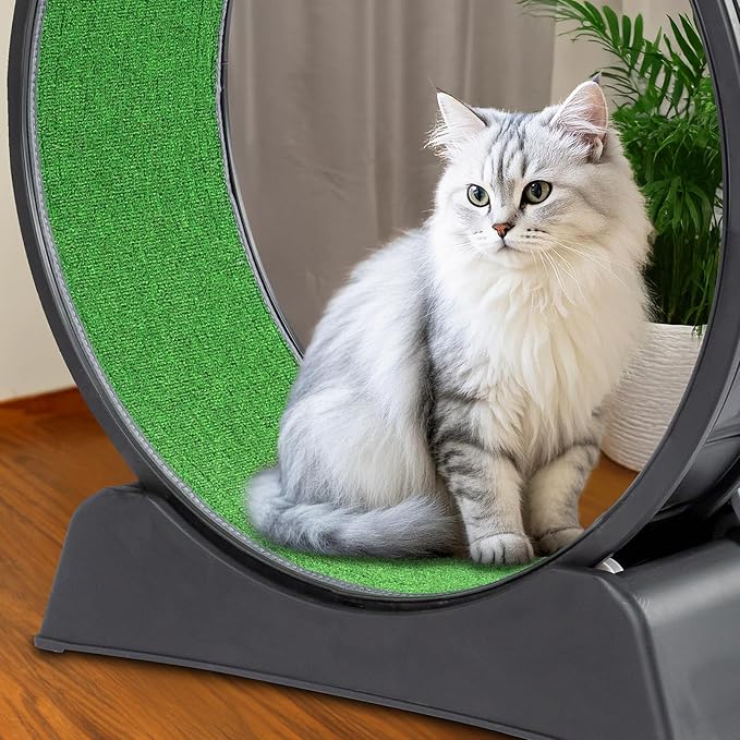 VINGLI Cat Exercise Wheel, Cat Treadmill with Carpeted Runway, 31 Inch Cats Running Wheel for Weight Loss & Daily Exercise, Black (31 Inch)