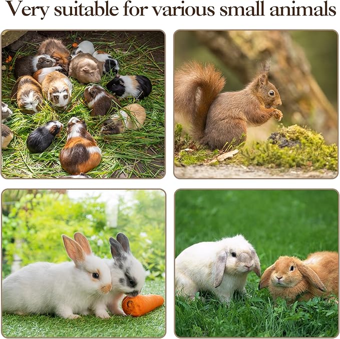 60" Large Metal Ferret Cage, Metal Large Guinea Pig Cages 5 Levels with Lockable Doors, Ramps, Wheels, Squirrel Cage for Chinchillas, Ferrets, Guinea Pigs, Rats, Hammock