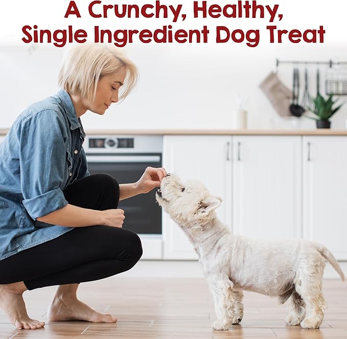 Riley's Waffles Chicken Chips for Dogs - USA Sourced 100% Chicken Breast - Dehydrated and Lean Jerky Treats - Single Ingredient Dog Treat - 16oz