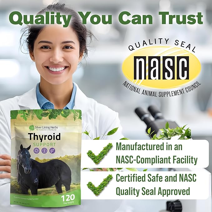 Silver Lining Herbs Thyroid Support for Horses β Herbal Horse Supplement for Normal Thyroid Function, Hormone Balance & Healthy Metabolism with Irish Moss, Kelp, Parsley β 120-Day Supply