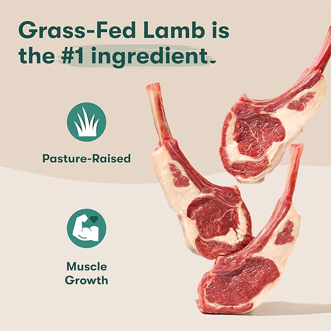 Jinx Premium Grain-Free Dry Dog Food, for All Lifestages - Grass-Fed Lamb, Sweet Potato & Carrot Dog Food with Superfoods for Immune Support & Probiotics for Digestive Support - No Fillers - 4lb