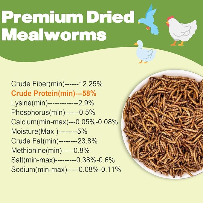 Dried Mealworms -11 LBS- 100% Natural Non GMO High Protein Mealworms - Bulk Mealworms for Wild Birds, Chicken Treats, Hamster Food, Gecko Food, Turtle Food, Lizard Food