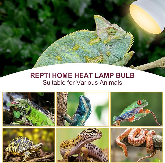 150W Reptile Heat Lamp Bulb 2 Pack,Basking Spot Lamp Bulb for Reptiles & Amphibians,Reptile Daylight Heat Bulb for Bearded Dragon, Lizard, Turtle