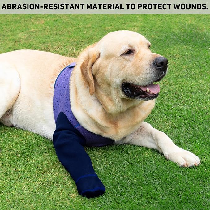 COODEO Dog Socks to Prevent Licking Paws, Healing Boots & Paw Protectors with Non-Slip Bottoms for Wound Protection, Waterproof Sleeve Shoes for Licking(Purple,3XL_Right