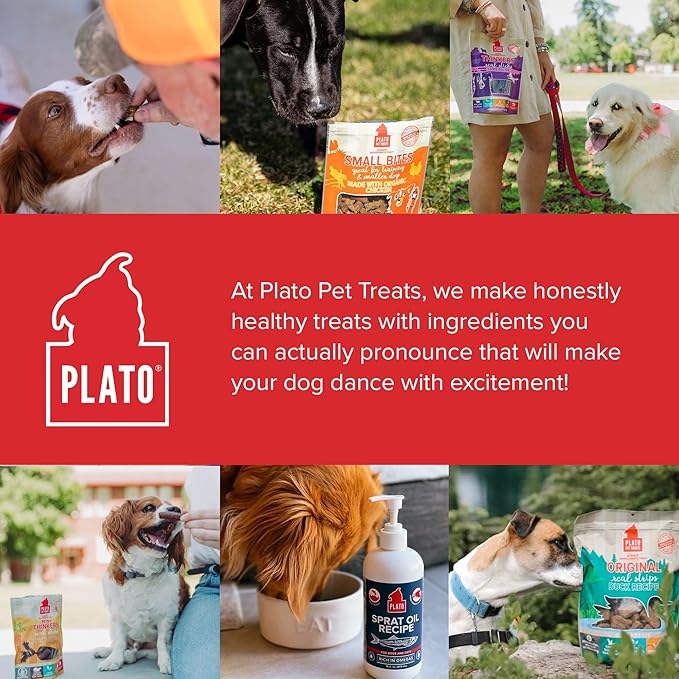 Plato Original Real Strips Turkey & Pumpkin Recipe 6oz, Natural (850002221411)