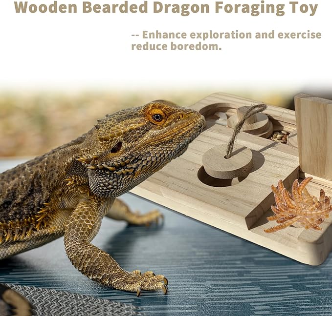 FlidRunest Bearded Dragon Feeder Puzzle, Wooden Lizard Feeding Box, Reptile Interactive Enrichment Food Feeder Training Treat Dispenser for Lizard Bearded Dragon Frog Hamster