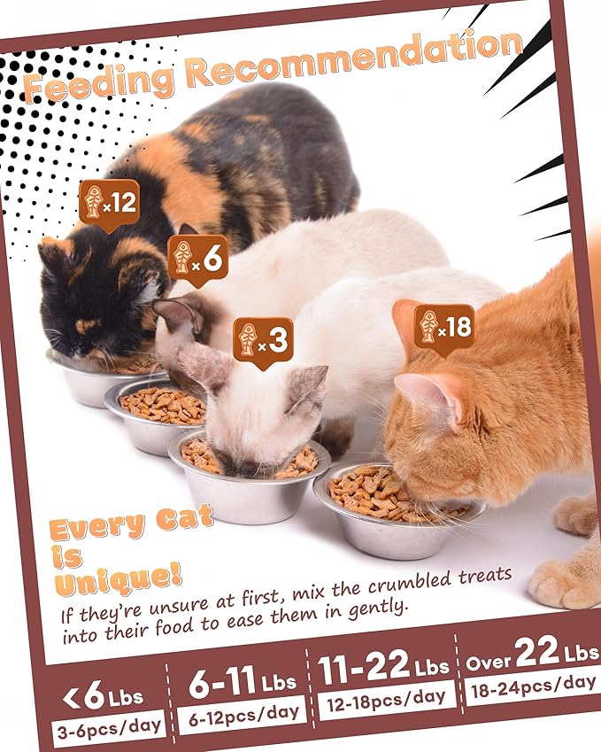17.63oz Crunchy Cat Grass Treats for Hairball Control – Natural Salmon & Cat Grass & Catnip Biscuits, Low-Calorie Healthy Snacks for Indoor Cats, Digestive & Dental Care