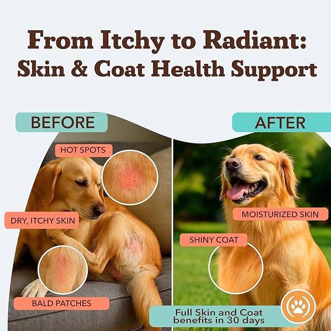 Natural Dog Company Skin & Coat Essentials Bundle, Skin & Coat Supplement + Skin Soother Healing Balm, Promotes Healthy Skin & Coat and Relieves Dry, Itchy Skin