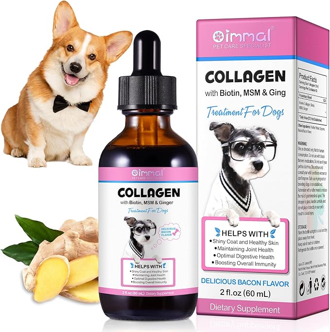 Premium Collagen for Dogs, Liquid Collagen for Dogs 2 fl.oz, Skin & Coat Supplement for Dogs, Itch Relief for Dogs with Vitamin C, Biotin, MSM, Ginger, Daily Collagen for Dogs Drops, Bacon Flavor