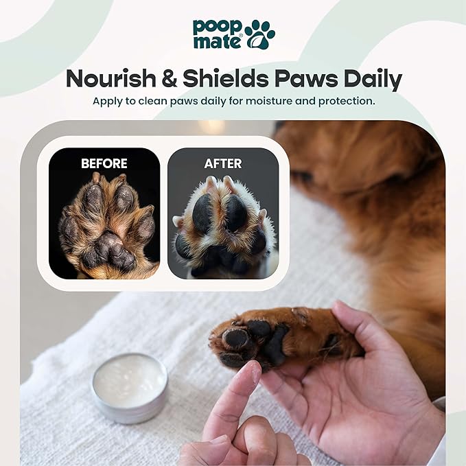 Dog Paw & Nose Balm (2 oz) | Natural, Lick-Safe Soothing Balm with Coconut Oil & Shea Butter | Moisturizing Paw Butter & Snout Cream for Dry, Cracked Pads & Noses